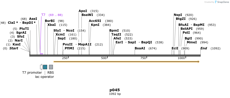 128803_map