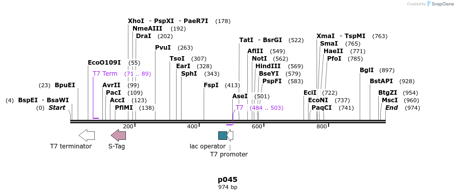 128805_map