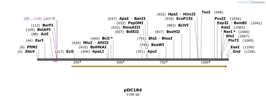 128807_map