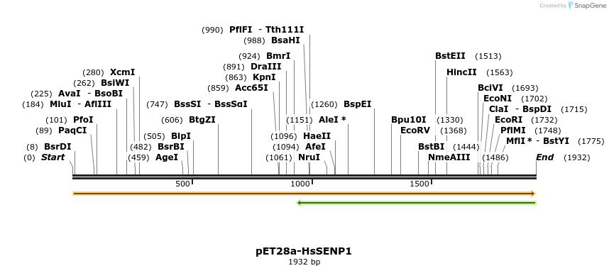 128808_map