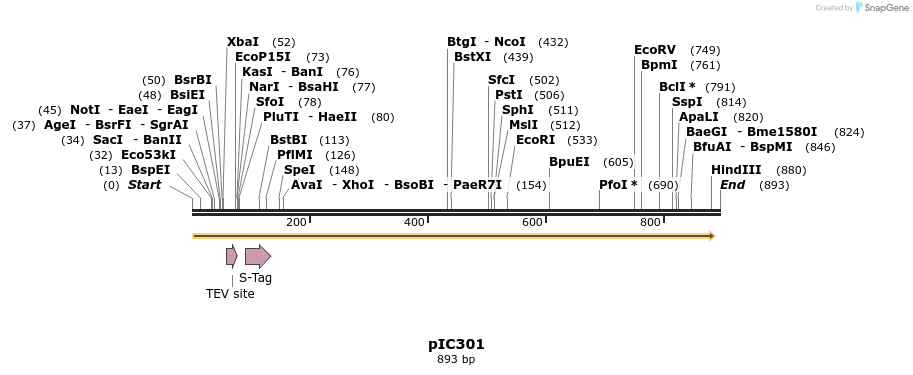128810_map