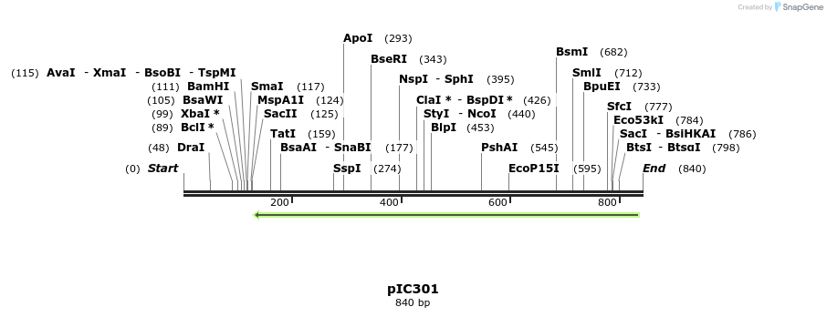 128811_map