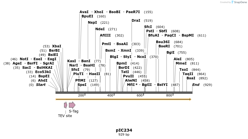 128813_map