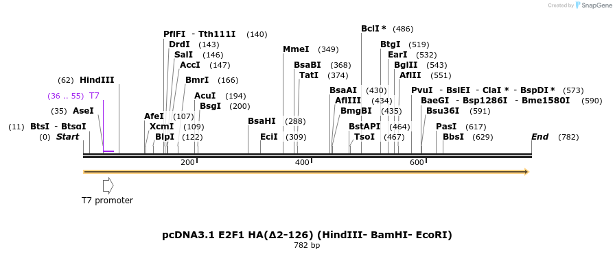 128814_map