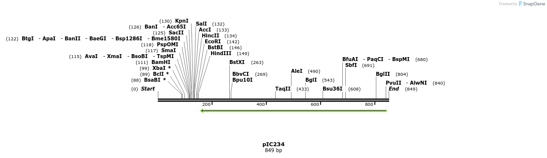 128815_map