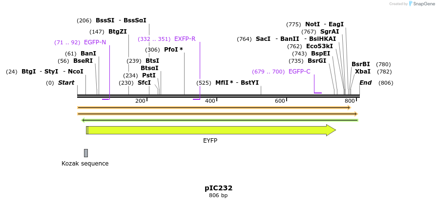 128819_map