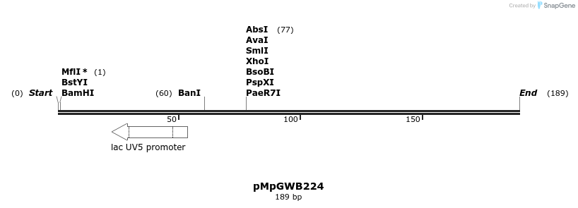 128821_map