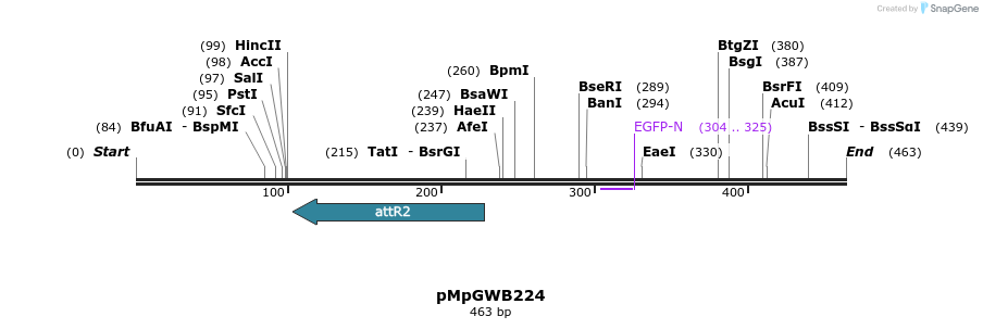 128822_map