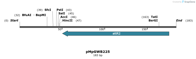 128827_map
