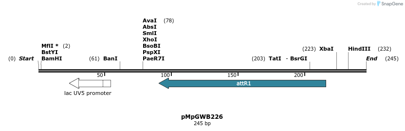 128830_map