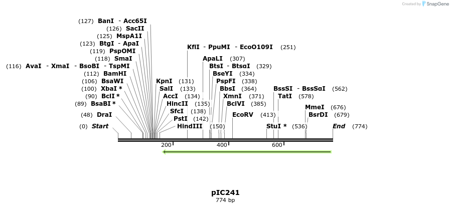128831_map