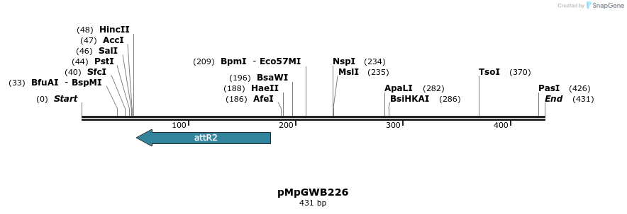 128834_map