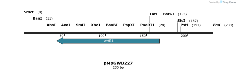 128837_map