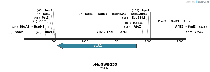 128840_map