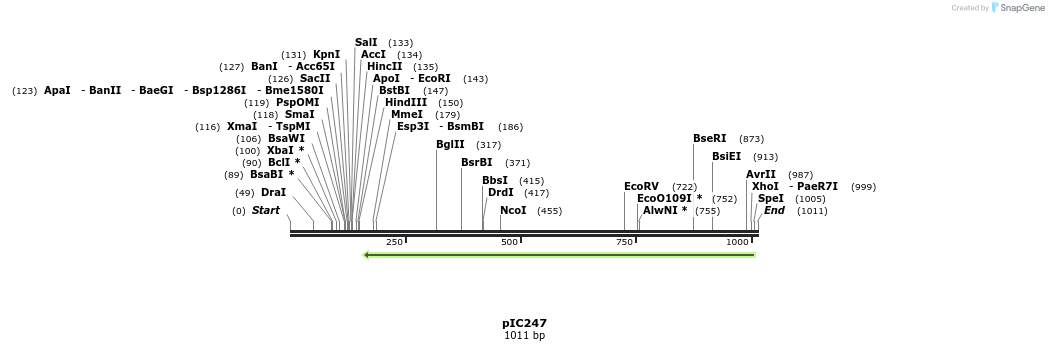 128841_map