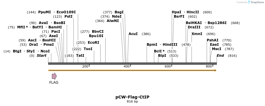 128842_map