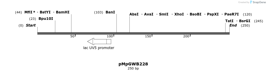 128843_map