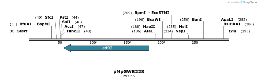 128845_map