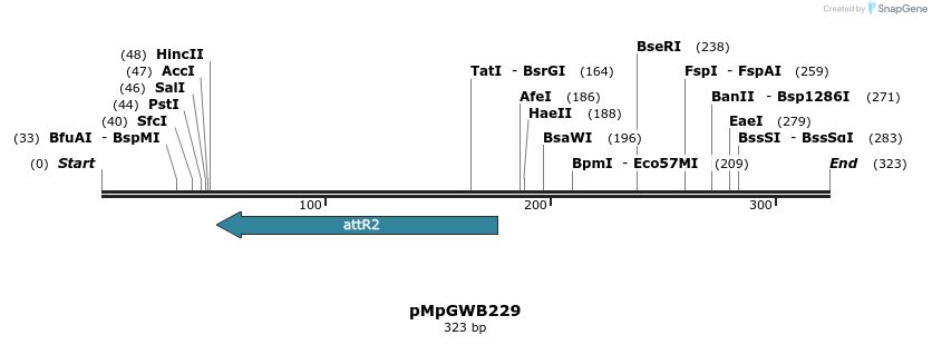 128850_map