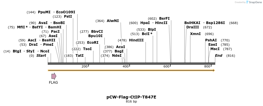 128853_map