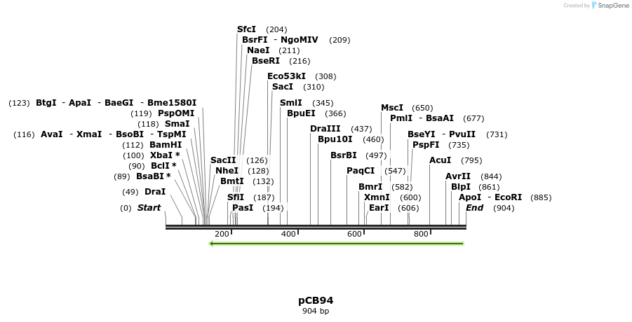128861_map