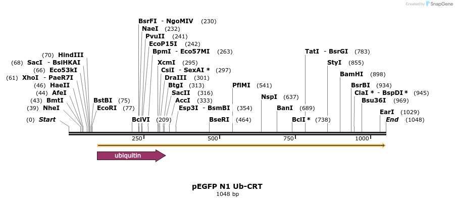 128866_map