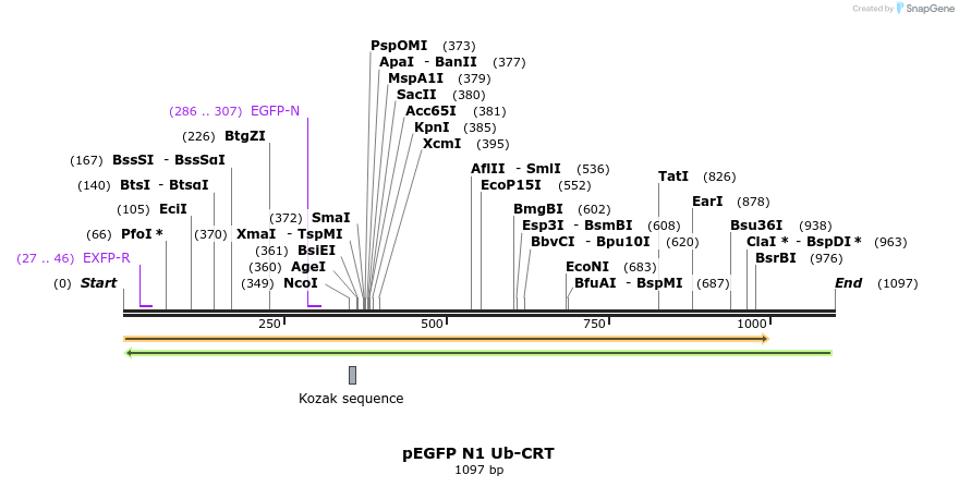 128870_map