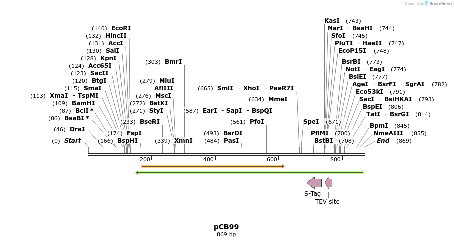 128871_map