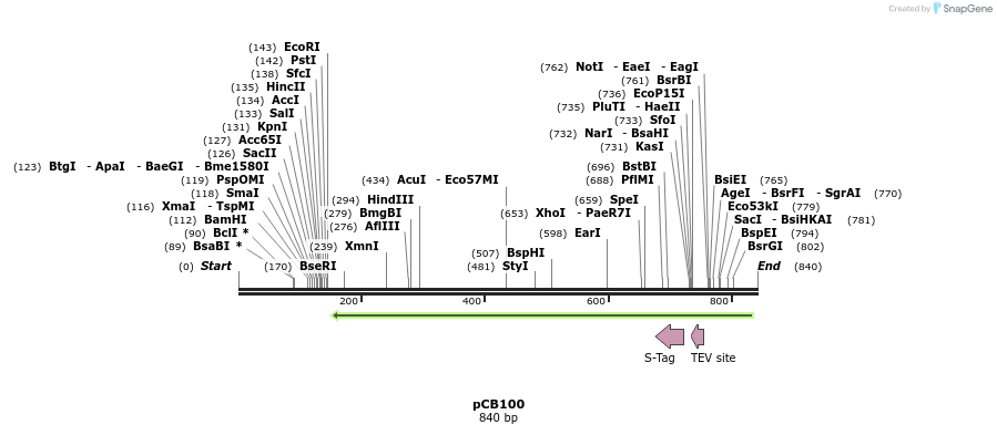 128874_map