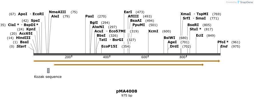 128875_map