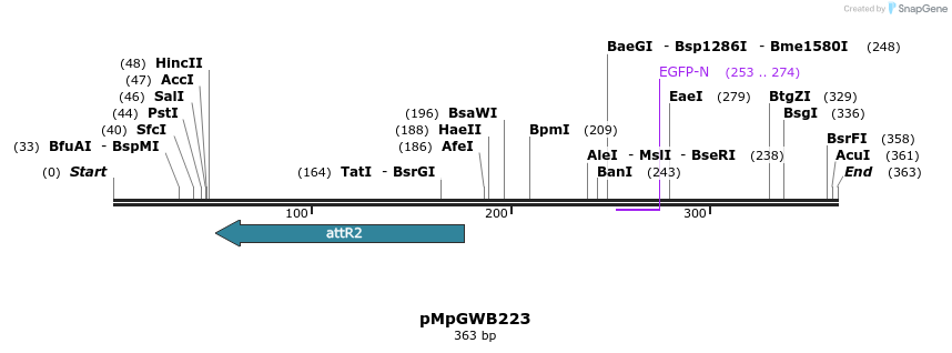 128877_map