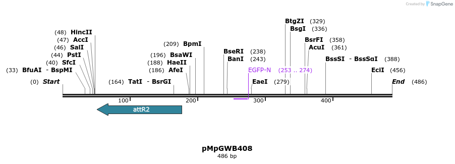 128878_map