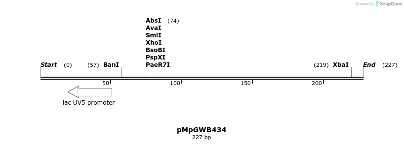 128883_map