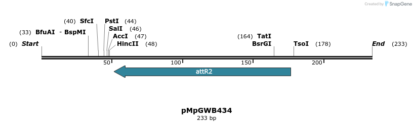 128884_map