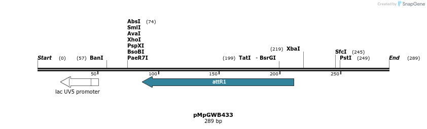 128885_map