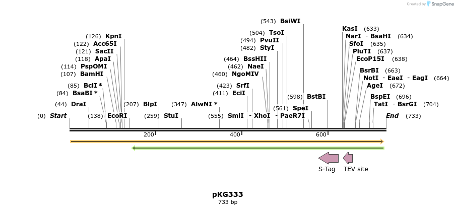 128895_map