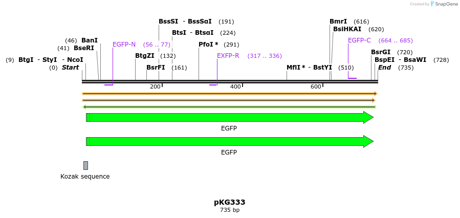 128896_map
