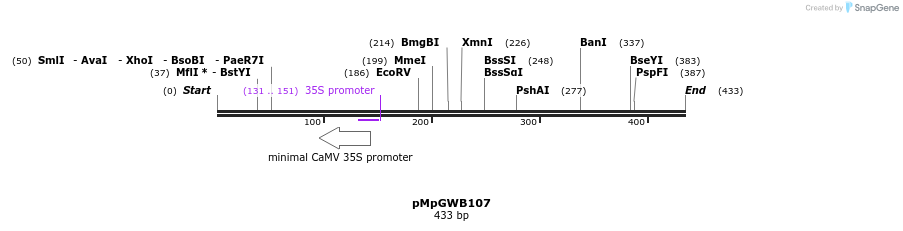 128898_map