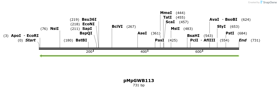 128904_map