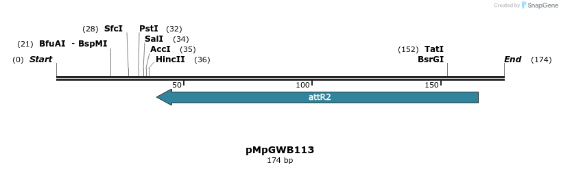 128905_map