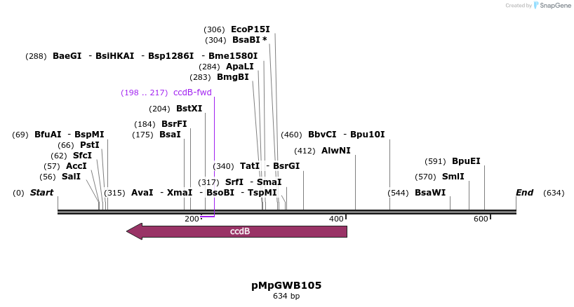 128906_map