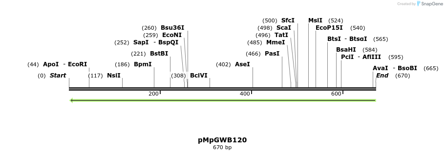 128910_map