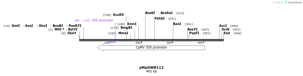 128911_map
