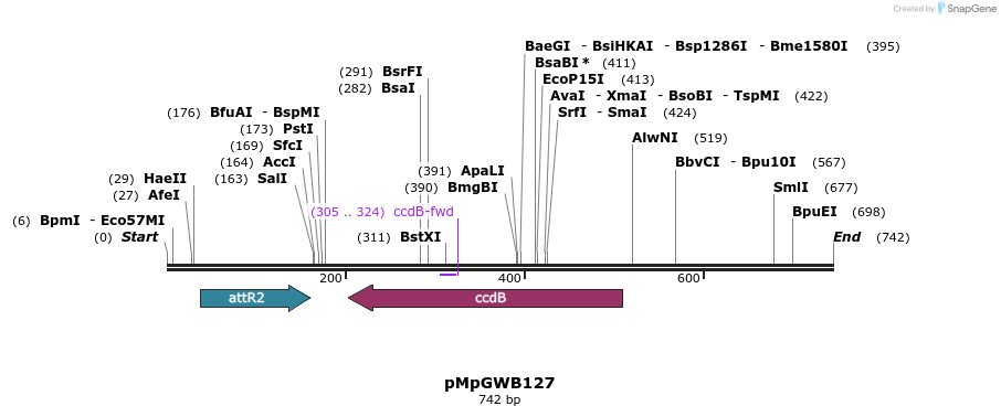128912_map