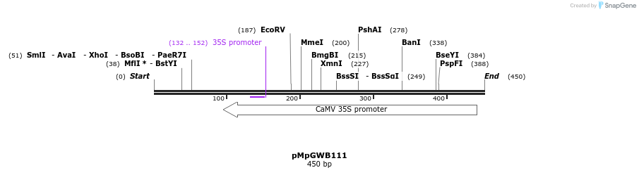 128914_map