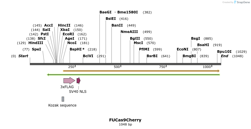 128918_map