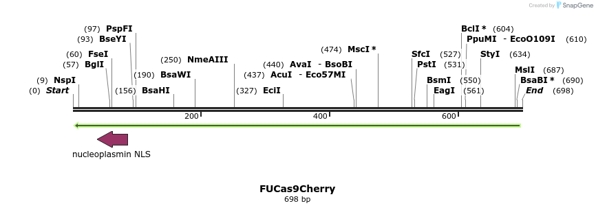 128921_map
