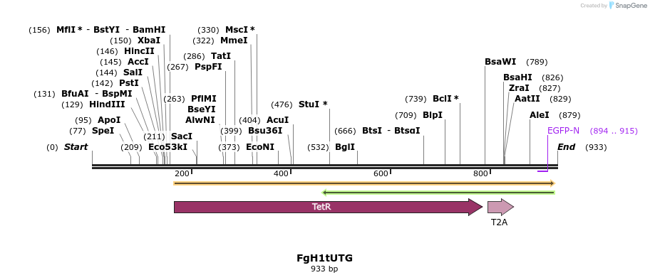 128922_map