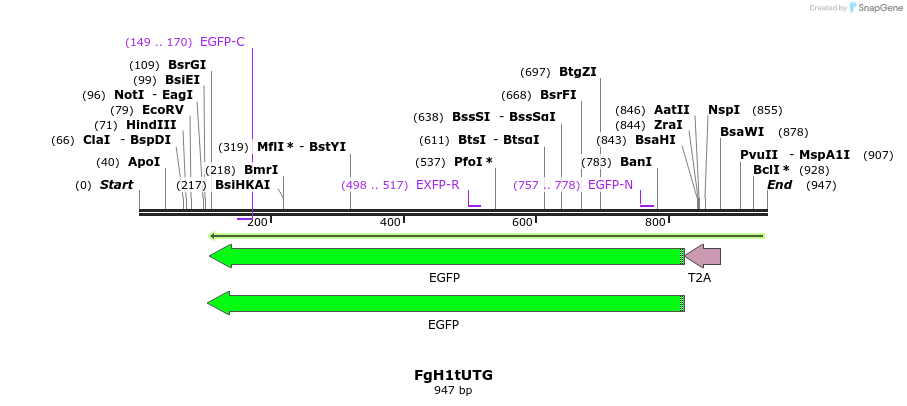128923_map
