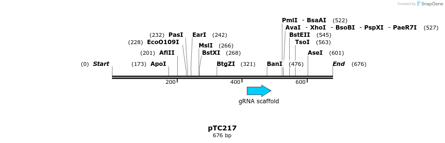 128928_map